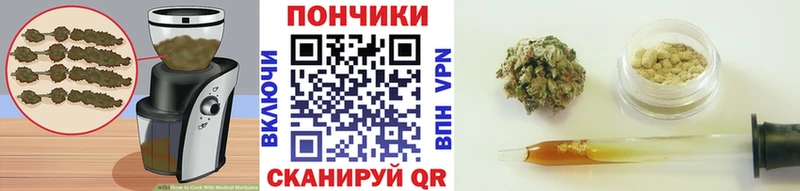 сайты даркнета телеграм  Каменногорск  Cannafood марихуана  где найти наркотики 