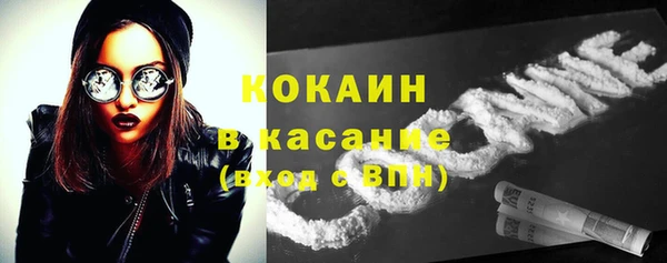 PSILOCYBIN Инсар