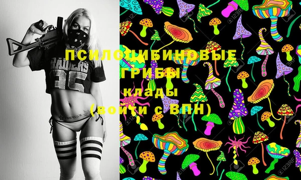 PSILOCYBIN Инсар