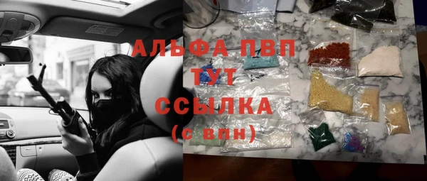PSILOCYBIN Инсар
