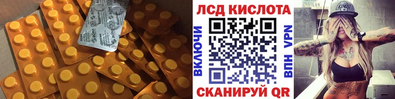 наркота  Каменногорск  ЛСД экстази кислота 