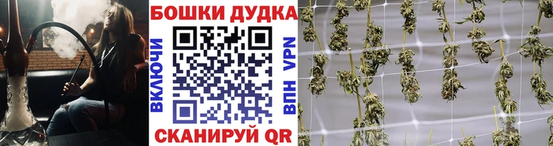 Шишки марихуана OG Kush  нарко площадка как зайти  Каменногорск 